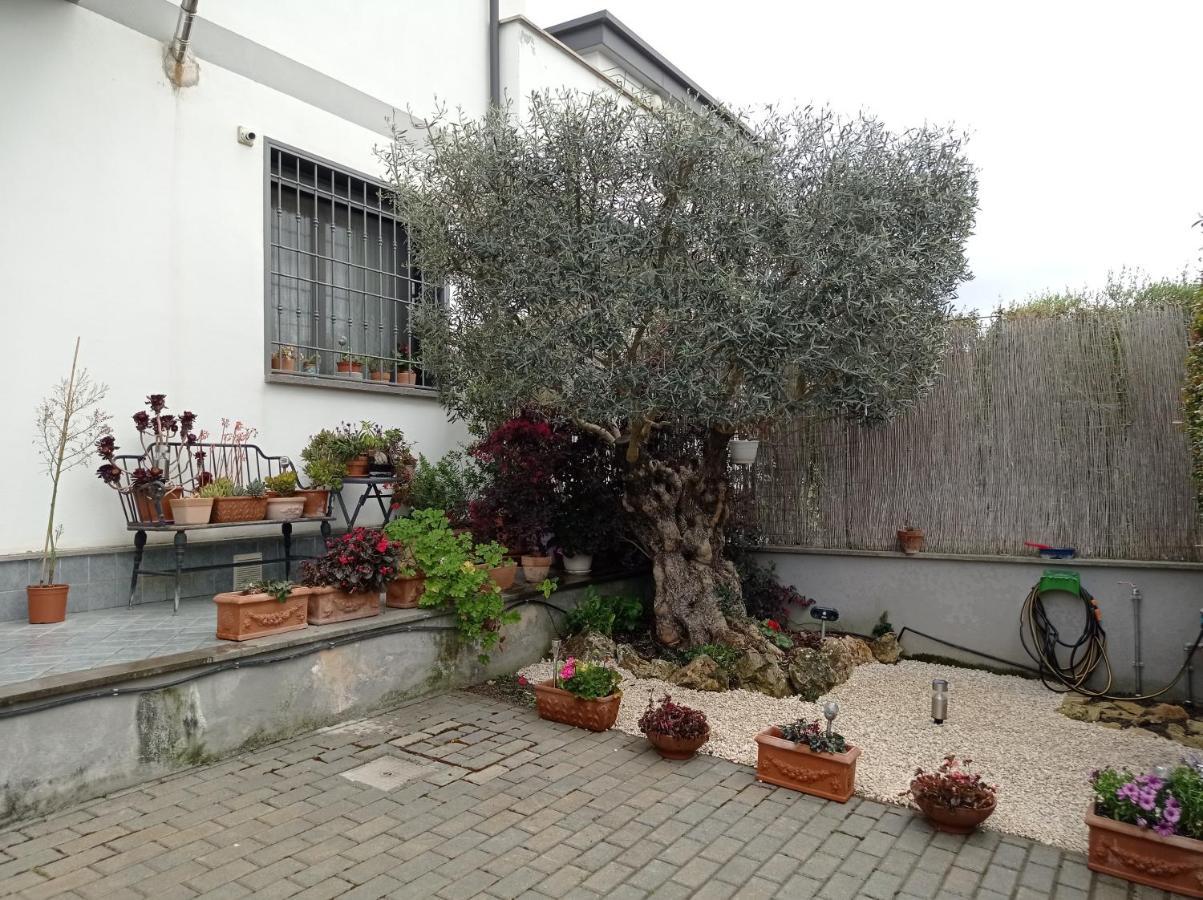 Villa Sogno Castel Fusano المظهر الخارجي الصورة